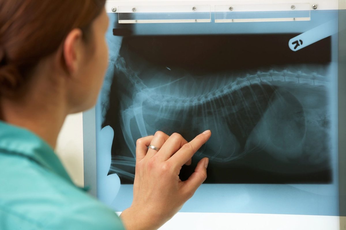 Radiology & Imaging staffing in DFW